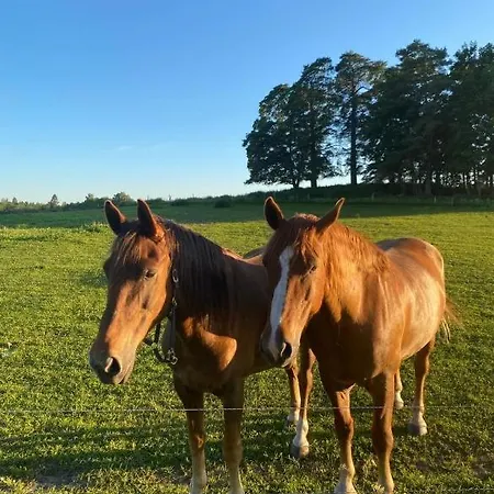 Glamping Stand-up Tent And Sauna, Farm Experience Bb Atsalama